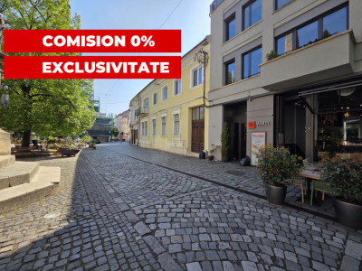 Apartament cu gradina in inima zonei Ultracentrale - Piata Muzeului!  