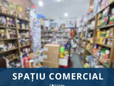 Spatiu comercial | 15mp | Ultracentral | Bulevardul Eroilor