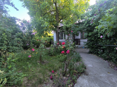 Casa individuala | 450mp teren | Dambul Rotund | Scoala de Politie