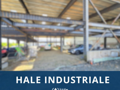 Ansamblu de 2 hale industriale | 3042mp util | Tetarom 1