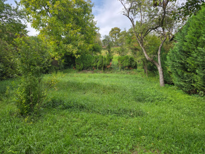 Teren intravilan 760 mp | Zona de case | Eremia Grigorescu 