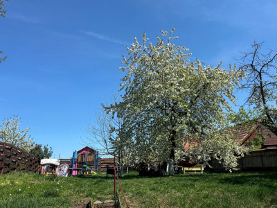 Casa individuala 3 camere | Teren 764mp | Front 15ml | Dambul Rotund